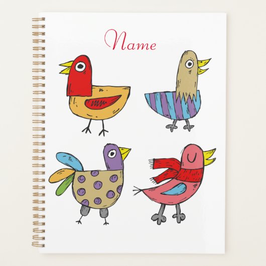 4 Funny Birds Thunder_Cove Planer (Vorderseite)