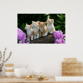 4 gelbe Kätzchen Poster (Küche)