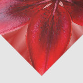 4 Größen von Tissue-Geschenkpapier - Asiatische Li Seidenpapier (Ausschnitt)