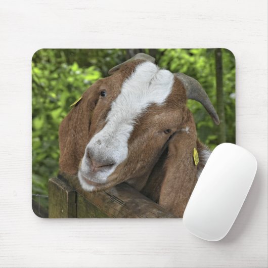 4-H Boer Goat Farm Mousepad (Mit Mouse)