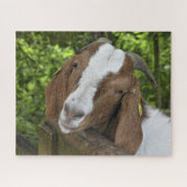 4-H Boer Goat Farm Puzzle (Horizontal)