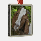 4-H Boer Goat Nanny Ornament Aus Metall (Rechts)