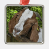 4-H Boer Goat Nanny Ornament Aus Metall (Vorne)