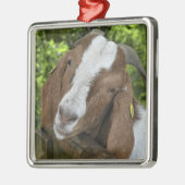4-H Boer Goat Nanny Ornament Aus Metall (Links)