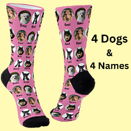 4 Hunde, 4 Namen, Hunde Foto - Personalisiert rosa Socken