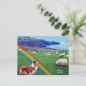 4. Irische Küste, Collie & Flock Postkarte (Stehend Vorderseite)