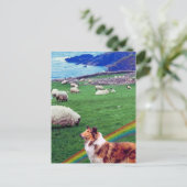 4. Irland Küste, Collie & Flock Schafe #2 Postkarte (Stehend Vorderseite)