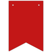 4. Jagdfahnen US Flagge (Erste Fahne)