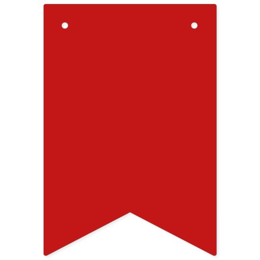 4. Jagdfahnen US Flagge (Erste Fahne)