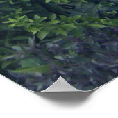 4. Juli (82) Leinwand Poster (Ecke)