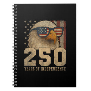 4. Juli Amerikanische Flagge Adler Vintage 250 Jah Notizblock