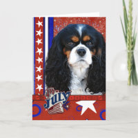 4. Juli - Cavalier - Tri-color