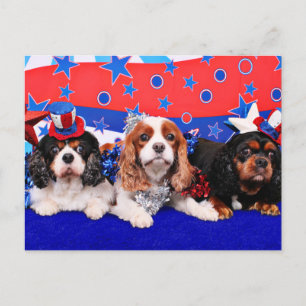4. Juli - Cavaliers - Rosie Poppy SweetPea Postkarte