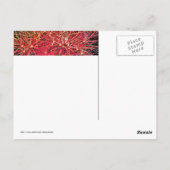 4. Juli Feuerwerk Postkarte (Rückseite)