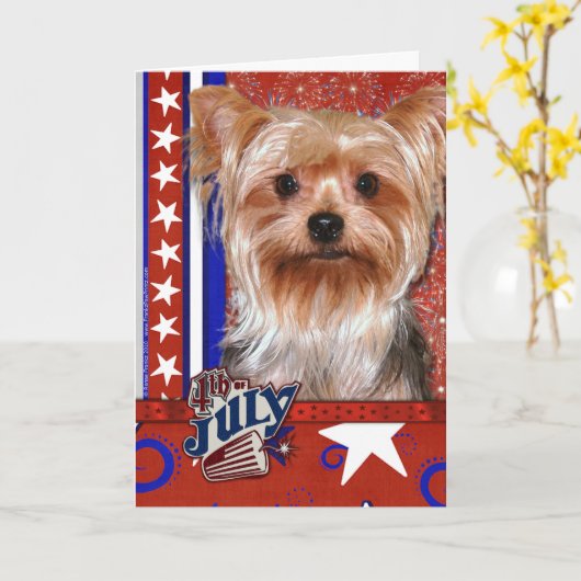 4. Juli Firecracker - Yorkshire Terrier Karte (Gelbe Blume)