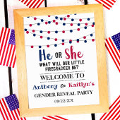 4. Juli Gender-Party Poster