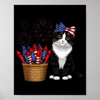 4. Juli Katze und Feuerwerk Design für Männer Frau Poster