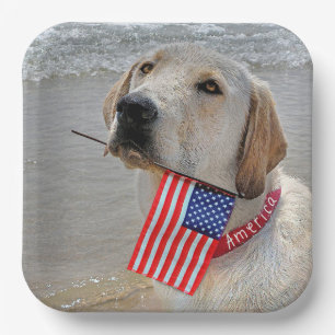 4. Juli Labrador Retriever mit Flagge Pappteller