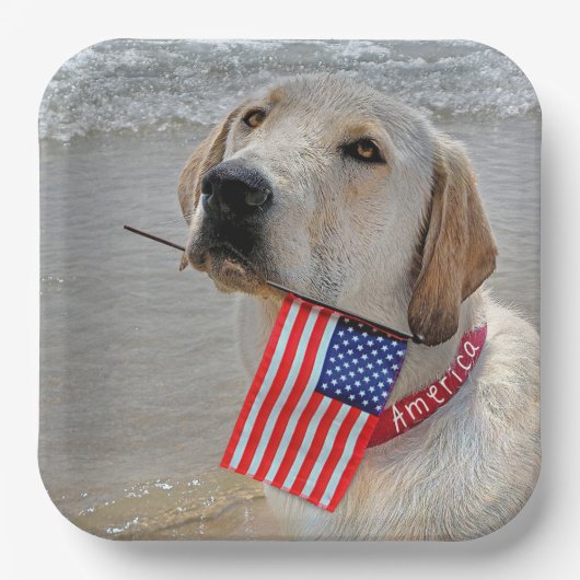 4. Juli Labrador Retriever mit Flagge Pappteller (Vorderseite)