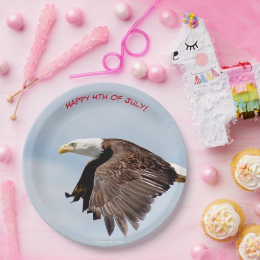 4. Juli Party Papier Teller mit Bald Eagle (Party)