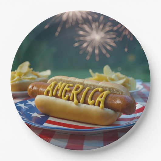 4. Juli-Picknick mit Feuerwerk Pappteller (Vorderseite)