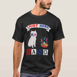 4. Juli US-Flagge Feuerwerk American Eskimo Do T-Shirt