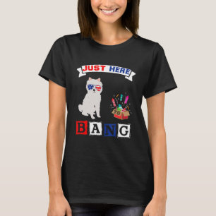 4. Juli US-Flagge Feuerwerk American Eskimo Do T-Shirt