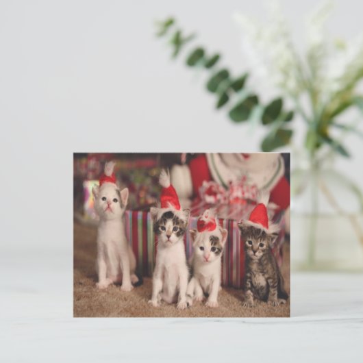 4 Kätzchen Weihnachtskarte Feiertagspostkarte (Stehend Vorderseite)