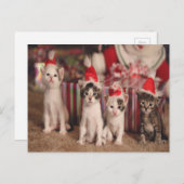 4 Kätzchen Weihnachtskarte Feiertagspostkarte (Vorne/Hinten)