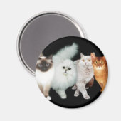 4 Katzen Magnet (Vorderseite/Rückseite)