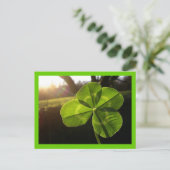 4 Leaf Closed Postcard Postkarte (Stehend Vorderseite)