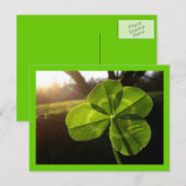 4 Leaf Closed Postcard Postkarte (Vorne/Hinten)