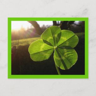 4 Leaf Closed Postcard Postkarte
