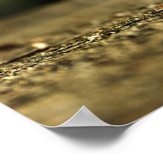 4 Leaf Cloue Foto I Zitat Poster (Ecke)