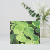 4 Leaf Clover Good Luck Charm Postkarte (Stehend Vorderseite)