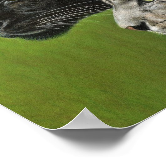 4 Leoparden Poster (Ecke)