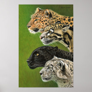 4 Leoparden Poster