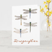 4 Libellenart Karte (Gelbe Blume)