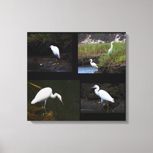 4 Little Egrets Wrapped Canvas Leinwanddruck (Vorderseite)