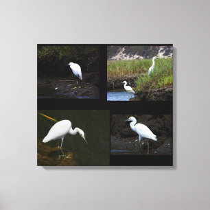 4 Little Egrets Wrapper Canvas Leinwanddruck