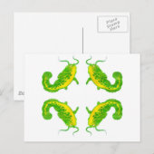 4 Lucky Fish Postkarte (Vorne/Hinten)