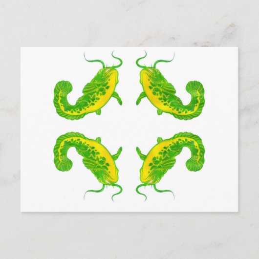 4 Lucky Fish Postkarte (Vorderseite)