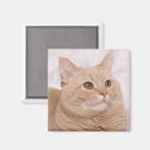 4 MAGNET (Vorderseite/Rückseite)