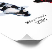 4 main species of koi fish fotodruck (Ecke)