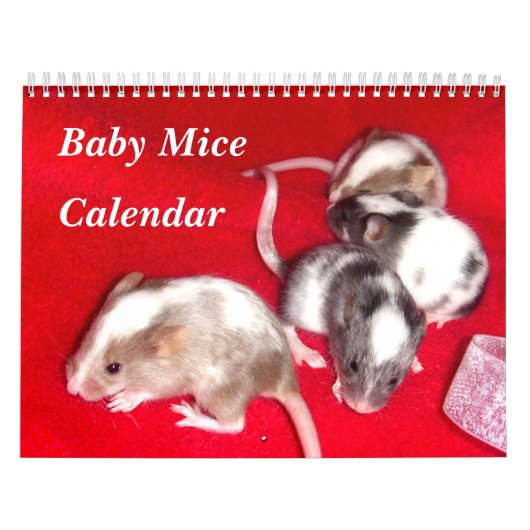4 Mäuse, die für ein Baby geeignet sind Kalender (Titelbild)
