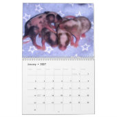 4 Mäuse, die für ein Baby geeignet sind Kalender (Jan 2027)