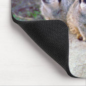 4 Meerkats blickendes Mousepad (Ecke)