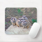 4 Meerkats blickendes Mousepad (Mit Mouse)