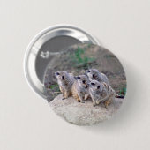 4 Meerkats, das links Knopf schaut Button (Vorne & Hinten)