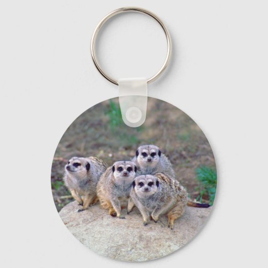 4 Meerkats Peering Schlüsselanhänger (Vorderseite)